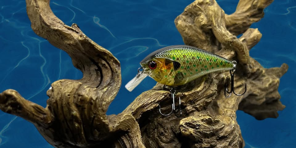 FISHKOOL: Premium B2B Fishing Tackle & Outdoor Equipment Supply Chain Partner